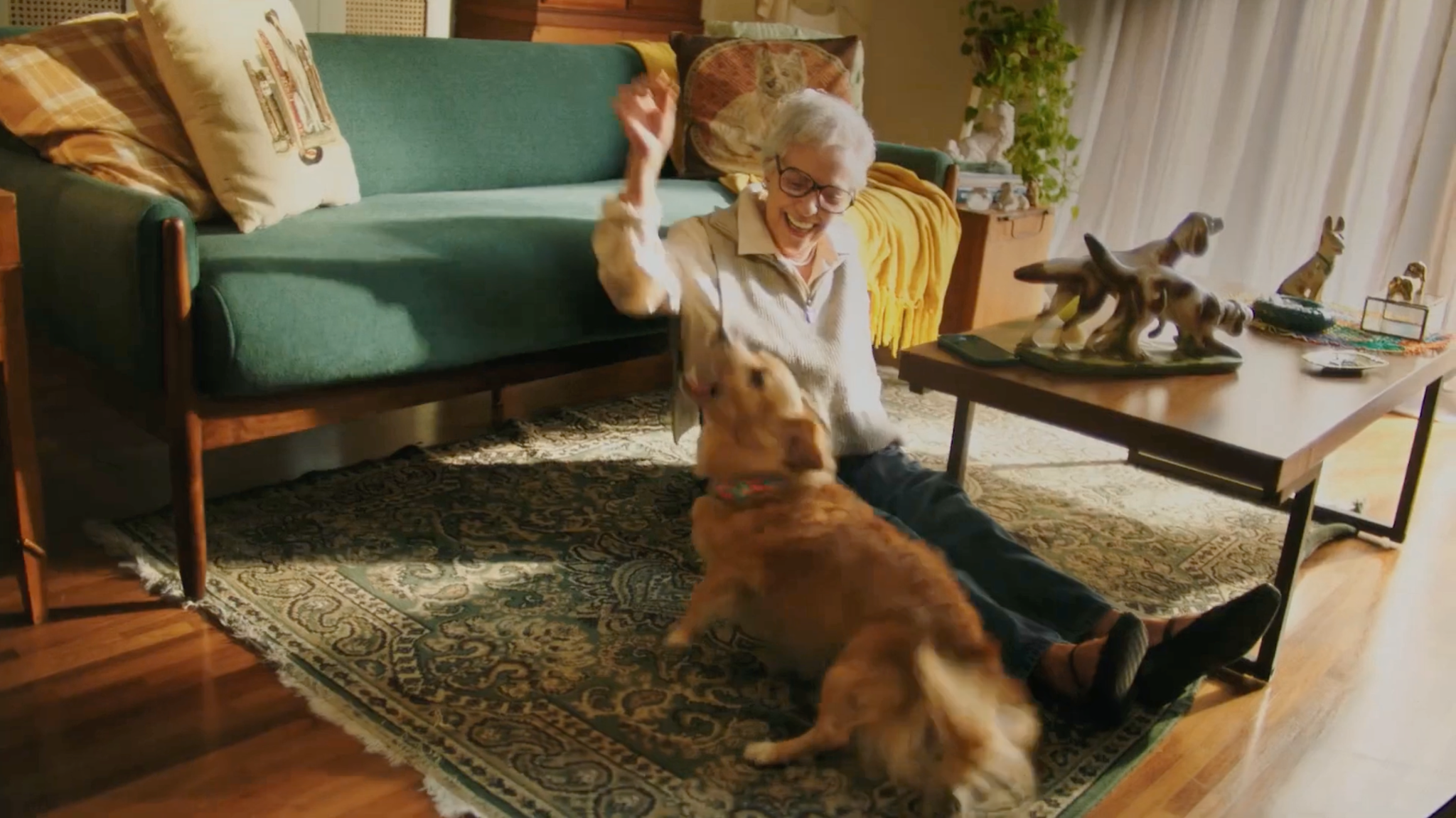 Senhora sentada no tapete brincando com um cachorro, ao lado de um sofá verde.